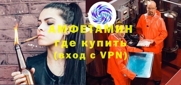 шишки Наволоки