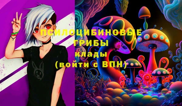 спиды Алзамай