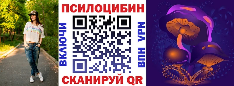 Галлюциногенные грибы Psilocybine cubensis  Купить  Весьегонск 